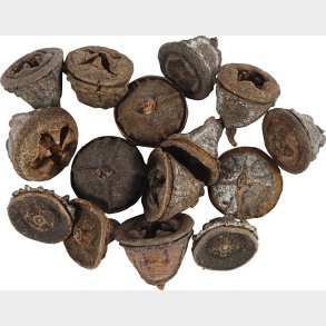 Eucalyptuskogler - 25 G