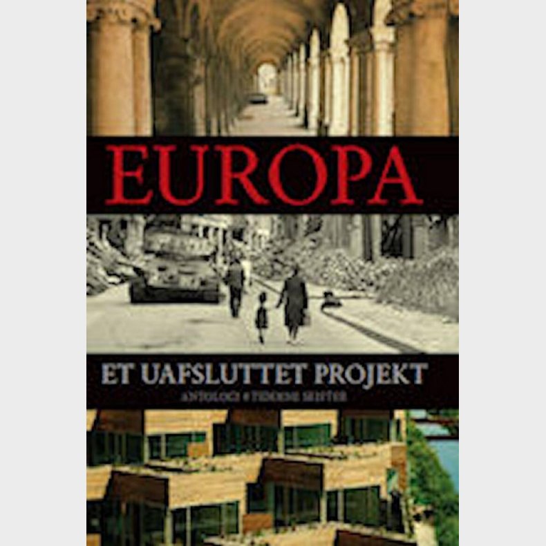 Europa - Et Uafsluttet Projekt - Peter Madsen - Bog