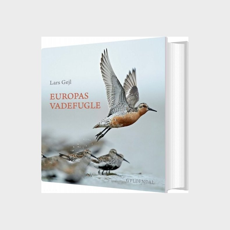 Europas Vadefugle - Lars Gejl - Bog