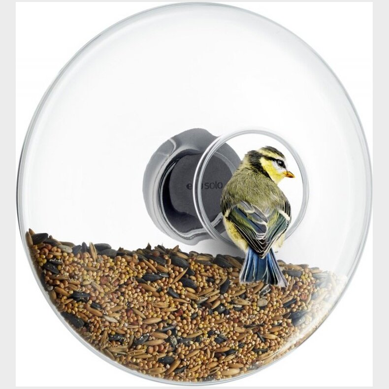 Eva Solo - Foderkugle Til Vindue I Glas - Stor