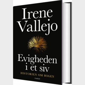 Evigheden I Et Siv - Irene Vallejo - Bog