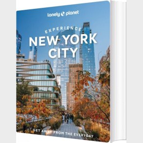 Experience New York City, Lonely Planet - English book