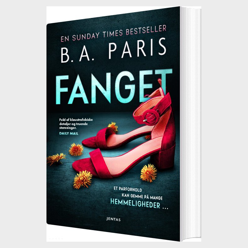 Fanget - B. A. Paris - Bog