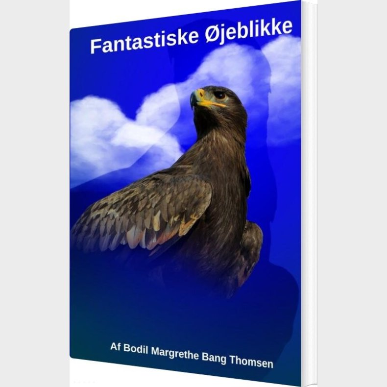Fantastiske �jeblikke - Bodil Margrethe Bang Thomsen - Bog
