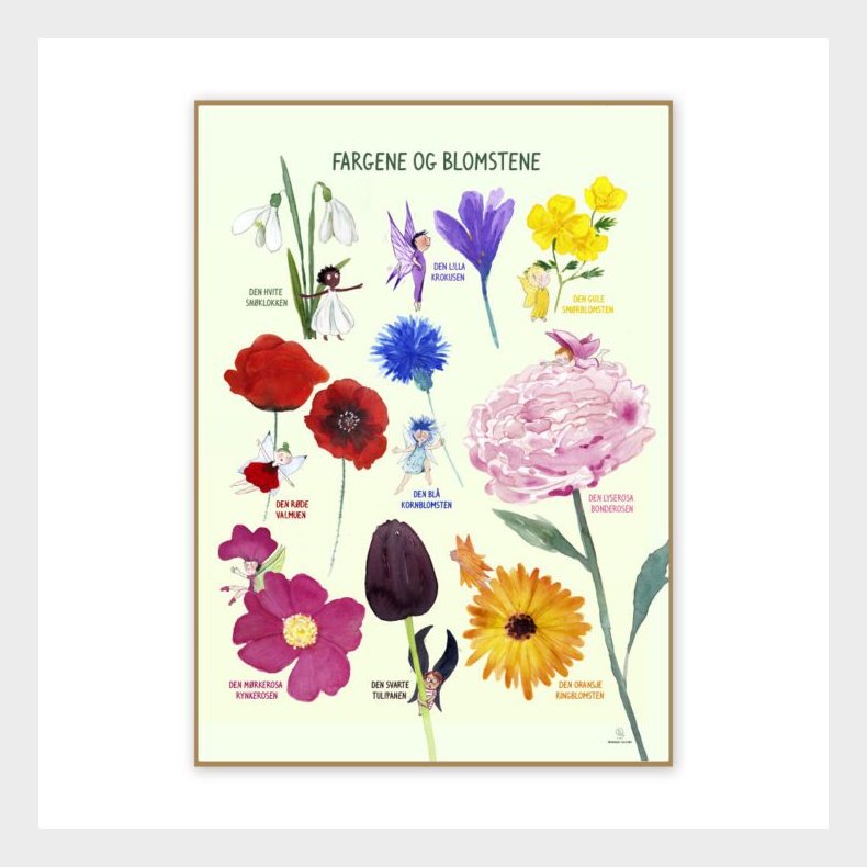 Ciha | Plakat 50 x 70 cm - Farverne og blomsterne Norsk
