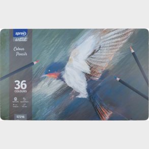 Farveblyanter I Metalboks - 36 Stk. - Spree