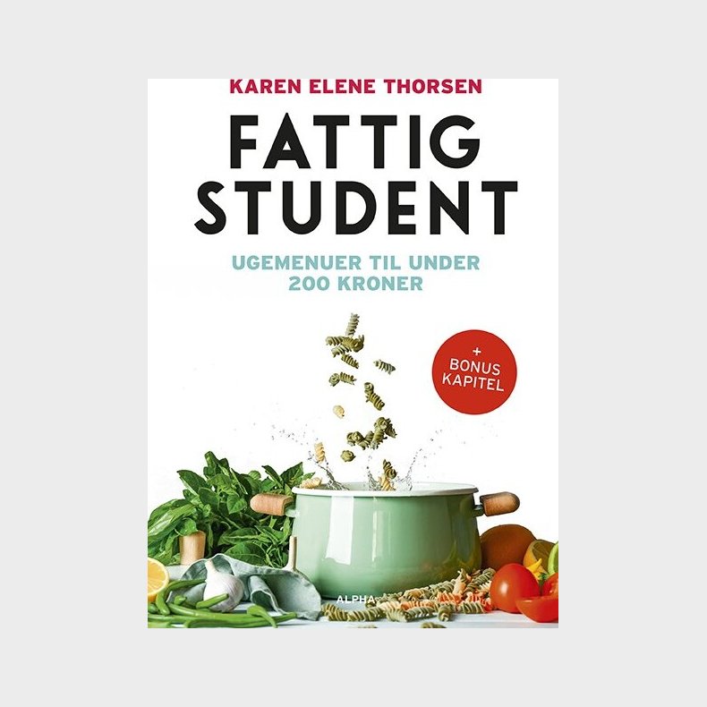 Fattig Student - Karen Elene Thorsen - Bog
