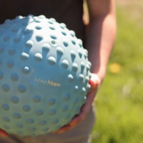 Find That Hippo - Stor Sansebold - Weldon Blue