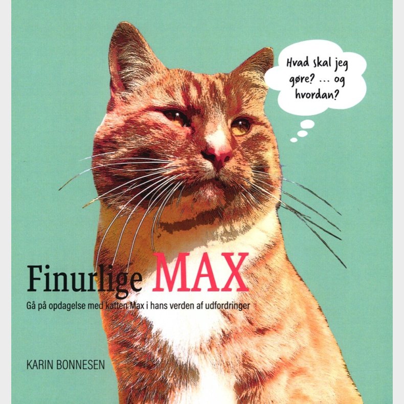 Finurlige Max - Karin Bonnesen - Bog