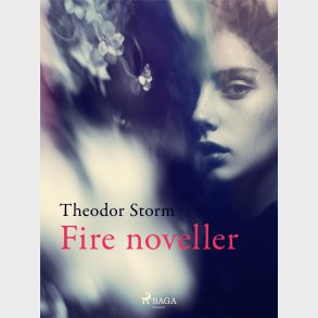 Fire Noveller - Theodor Storm - Bog
