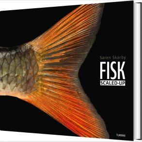Fisk - Scaled-up - S�ren Skarby - Bog
