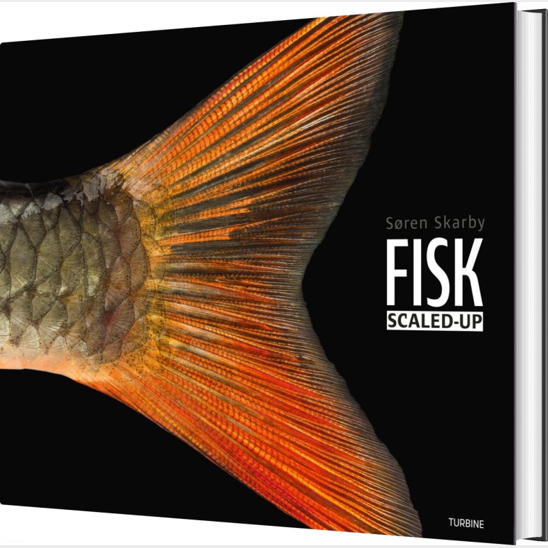 Fisk - Scaled-up - S�ren Skarby - Bog