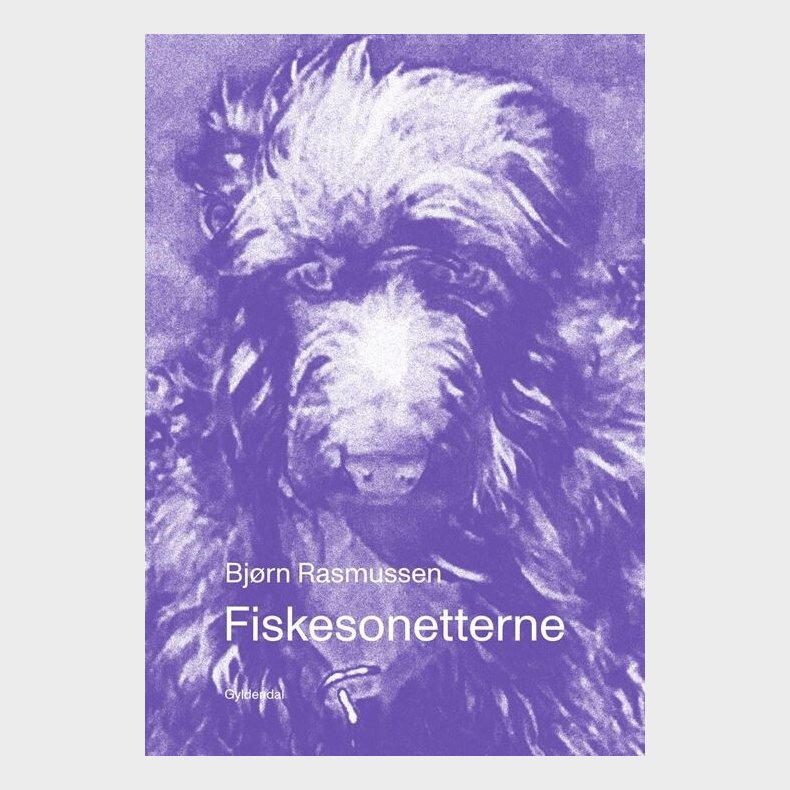 Fiskesonetterne - Bj�rn Rasmussen - Bog