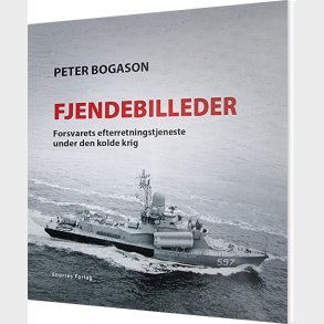 Fjendebilleder - Peter Bogason - Bog