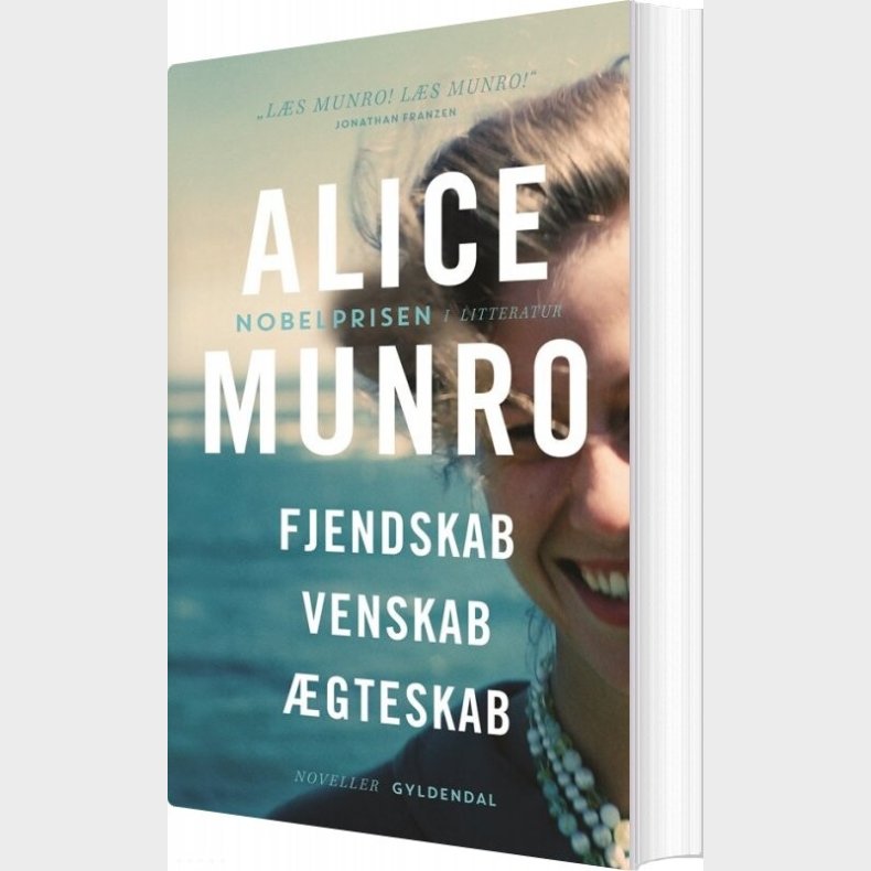 Fjendskab, Venskab, gteskab - Alice Munro - Bog