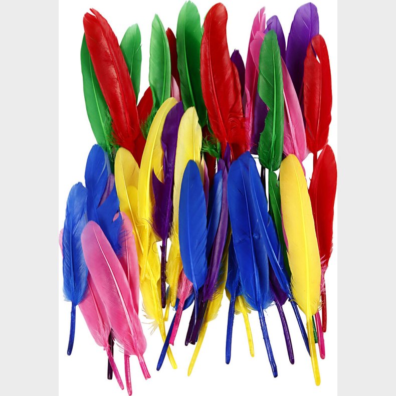 Fjer - L 13 Cm - Forskellige Farver - 48 Stk.