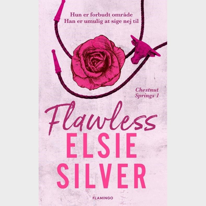 Flawless - Elsie Silver - Bog