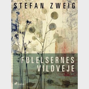 F�lelsernes Vildveje - Stefan Zweig - Bog
