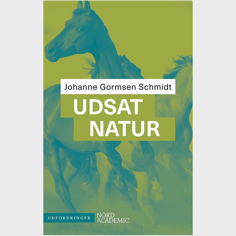 F�lelsesekkoer - Johanne Gormsen Schmidt - Bog