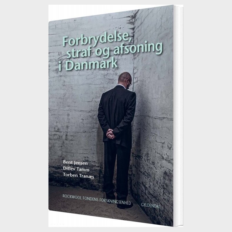 Forbrydelse, Straf Og Afsoning I Danmark - Rockwool Fondens Forskningsenhed - Bog