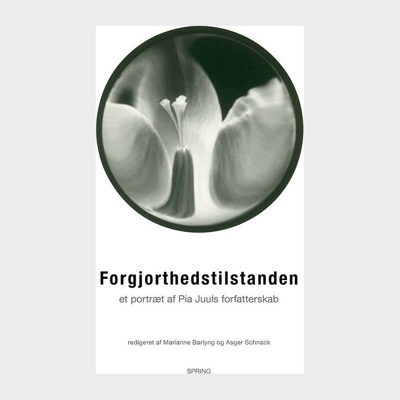 Forgjorthedstilstanden - Asger Schnack - Bog