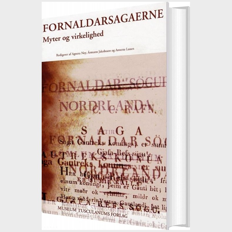 Fornaldarsagaerne - A�alhei�ur Gu�mundsd�ttir - Bog