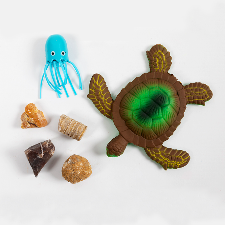 Forskerkit D - Naturfag