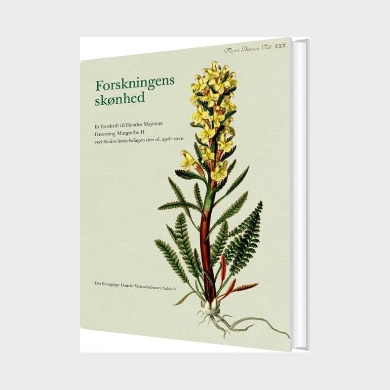 Forskningens Sk�nhed - Marita Akh�j Nielsen - Bog