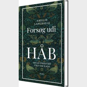 Fors�g Udi H�b - Amalie Langballe - Bog