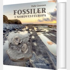 Fossiler I Nordvesteuropa - Palle Gravesen - Bog