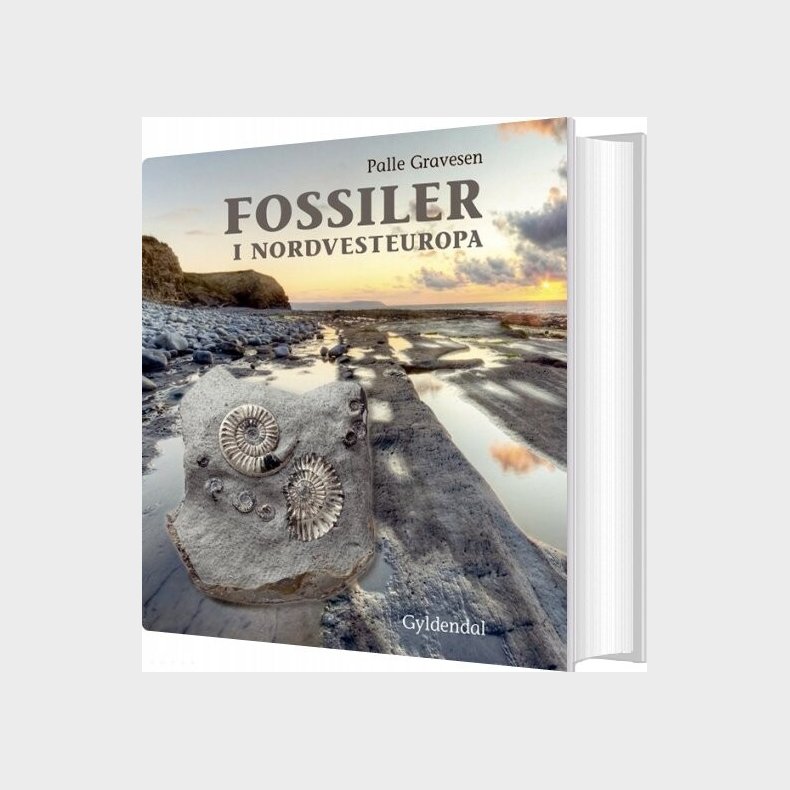 Fossiler I Nordvesteuropa - Palle Gravesen - Bog