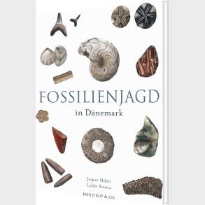 Fossilienjagd In D�nemark - Jesper Milan - Tysk Bog