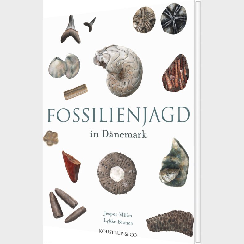 Fossilienjagd In D�nemark - Jesper Milan - Tysk Bog