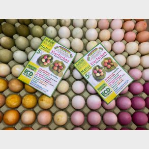 koNORM | Naturlig farve til g - 5 farver