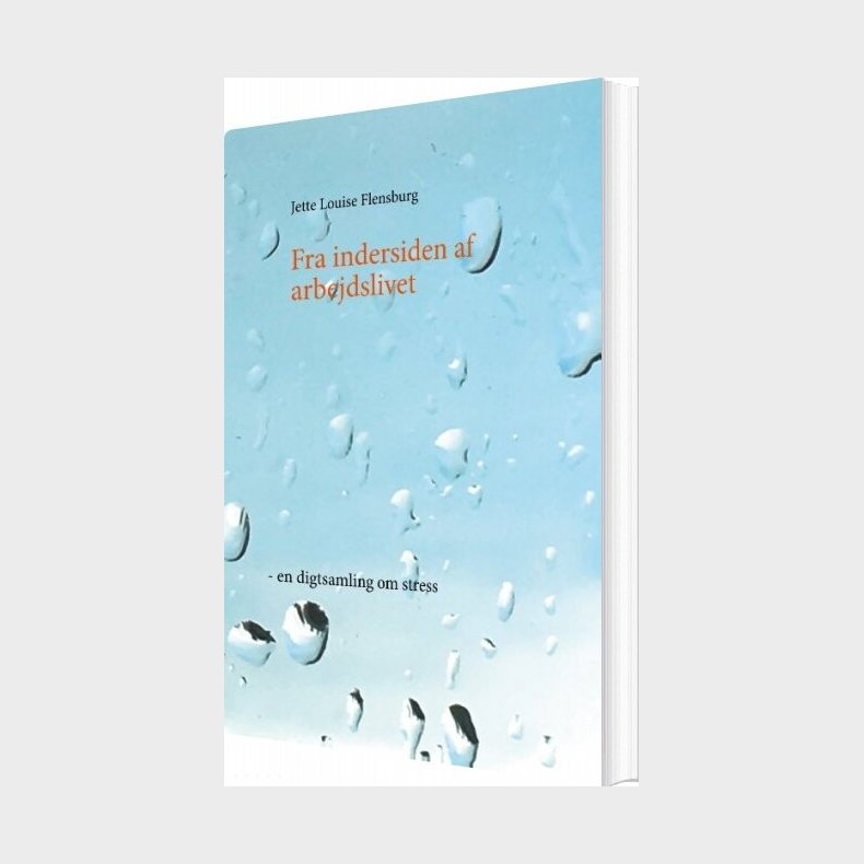 Fra Indersiden Af Arbejdslivet - Jette Louise Flensburg - Bog