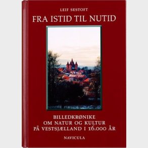 Fra Istid Til Nutid - Leif Sestoft - Bog