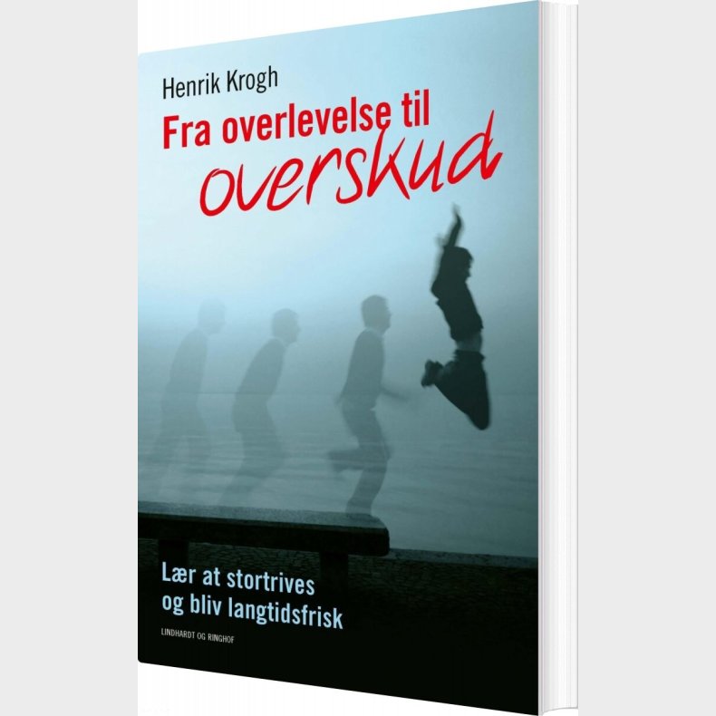 Fra Overlevelse Til Overskud - Henrik Krogh - Bog