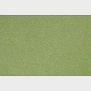 Fransk Karton - A4 - 210x297 Mm - 160 G - ble Grn - 1 Stk.