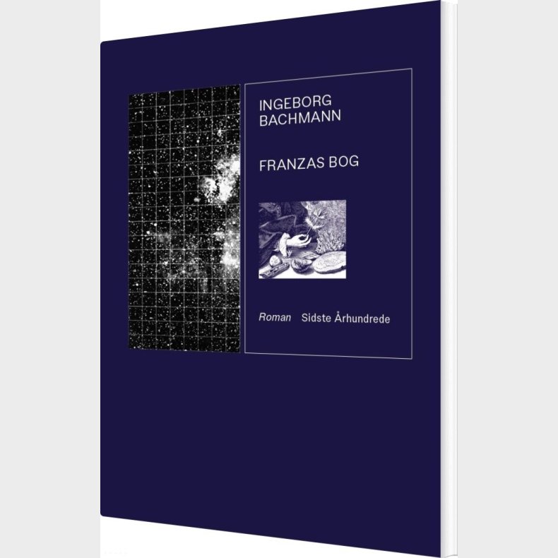 Franzas Bog - Ingeborg Bachmann - Bog
