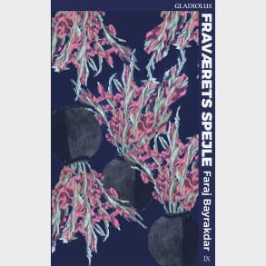 Frav�rets Spejle - Faraj Bayrakdar - Bog