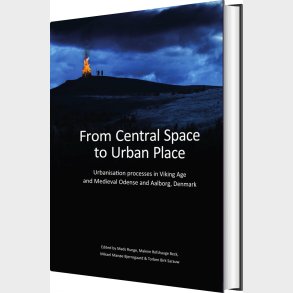 From Central Space To Urban Place - English book
