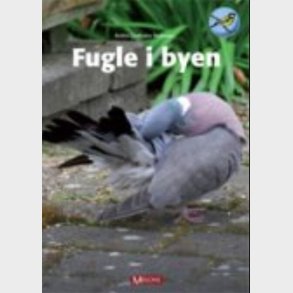 Fugle I Byen - Birthe Lindholm Pedersen - Bog