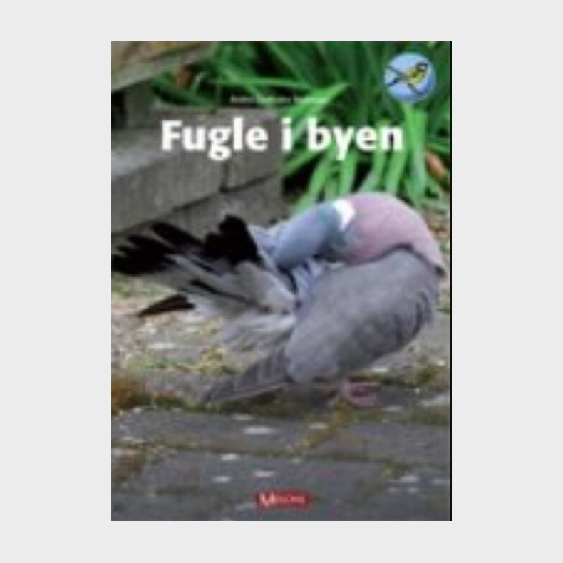 Fugle I Byen - Birthe Lindholm Pedersen - Bog