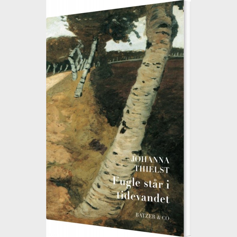 Fugle St�r I Tidevandet - Johanna Thielst - Bog