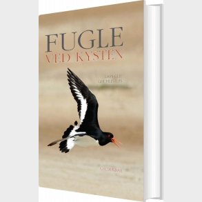 Fugle Ved Kysten - Lars Gejl - Bog