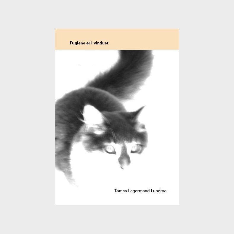 Fuglene Er I Vinduet - Tomas Lagermand Lundme - Bog