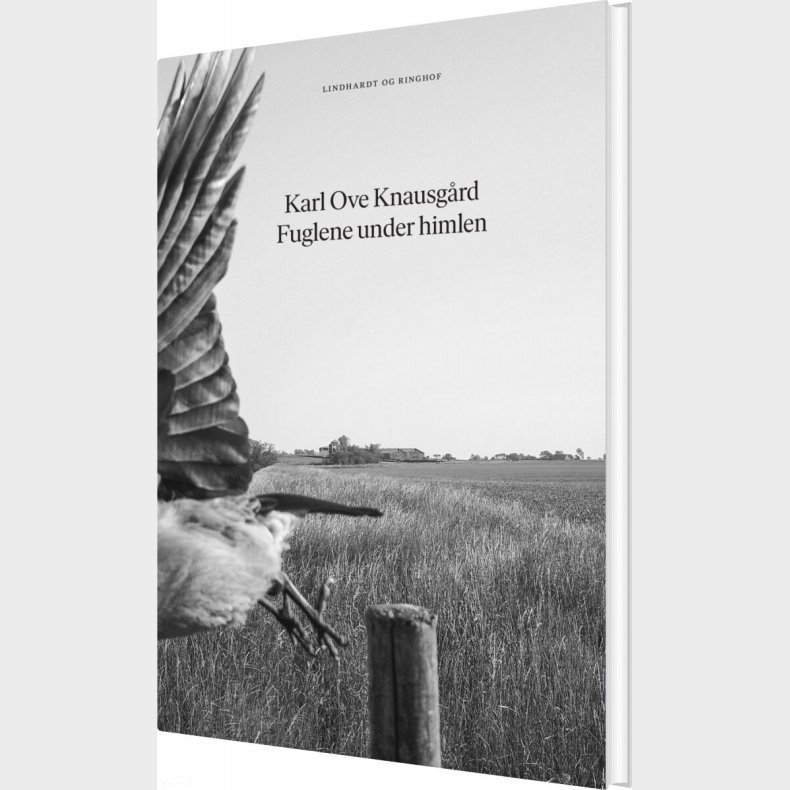 Fuglene Under Himlen - Karl Ove Knausg�rd - Bog