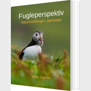 Fugleperspektiv - Jette Varmer - Bog