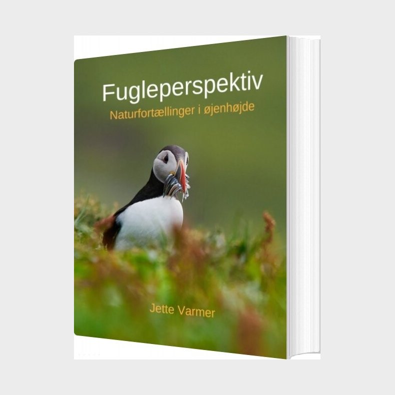 Fugleperspektiv - Jette Varmer - Bog