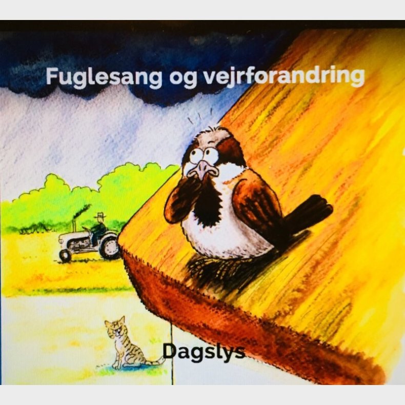 Dagslys - Fuglesang Og Vejrforandring - CD